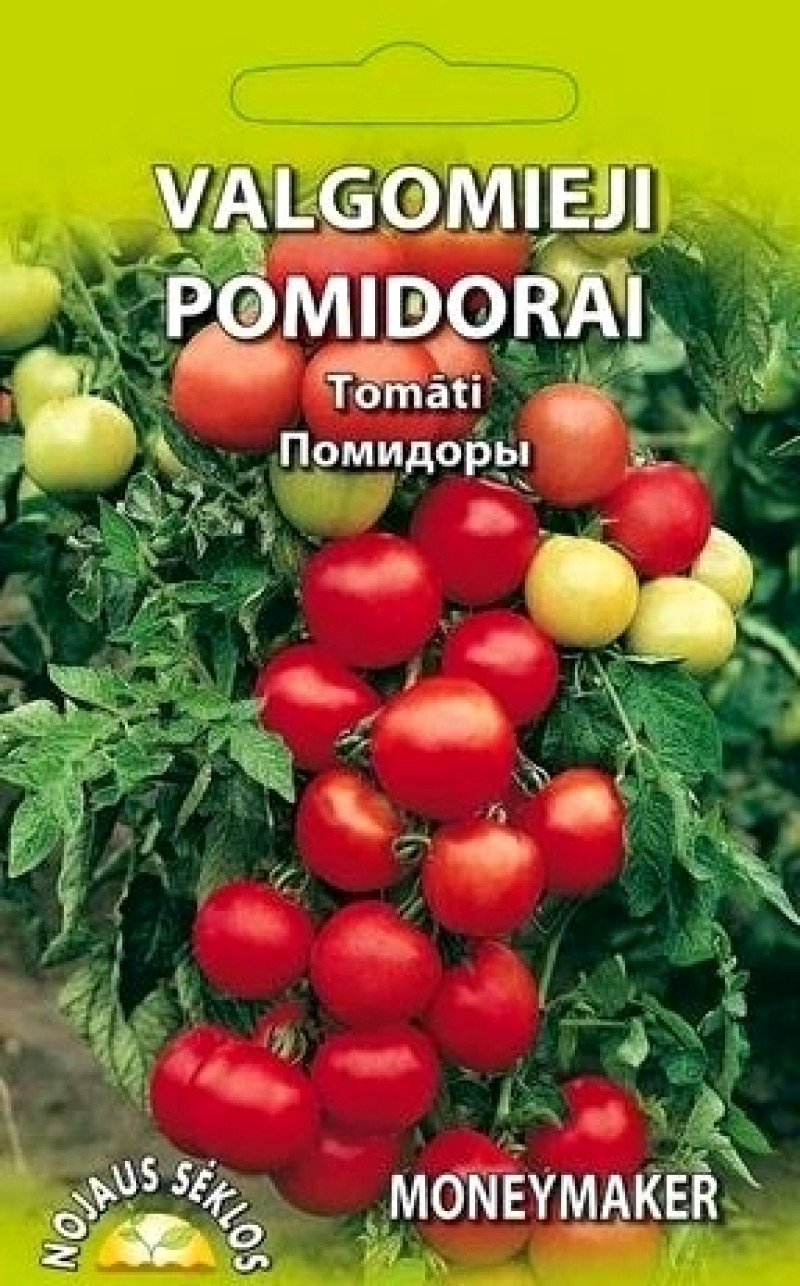 Sēklas Tomāti Moneymaker 0.3g 1/20 (12.2027) Lietuva