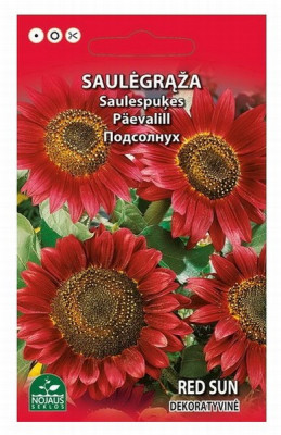 Sēklas Saulespuķe Red Sun 1g 1/20