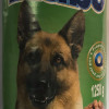 Suņu konservi Blubo ar jēra gaļu 1.25kg  (17.09.2029) Polija