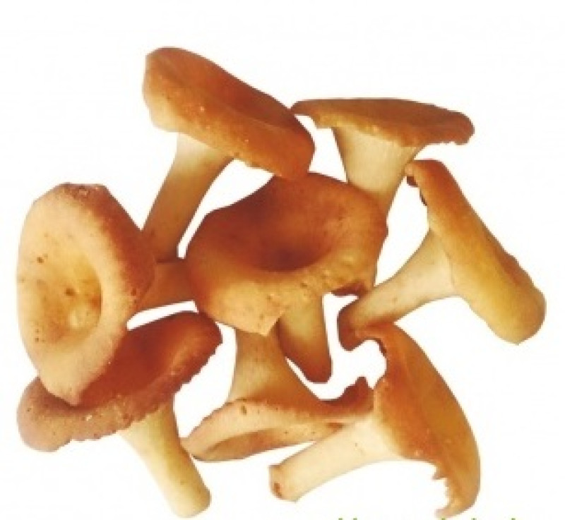 Cepumi Gailenes 0.450kg (10.05.27) Ukraina