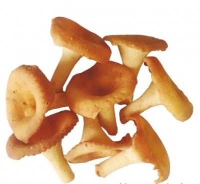 Cepumi Gailenes 0.450kg (10.05.27) Ukraina