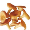 Cepumi Gailenes 0.450kg (10.05.27) Ukraina