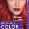 Matu krāsa Palette RV6 Spilgti sarkans 50ml