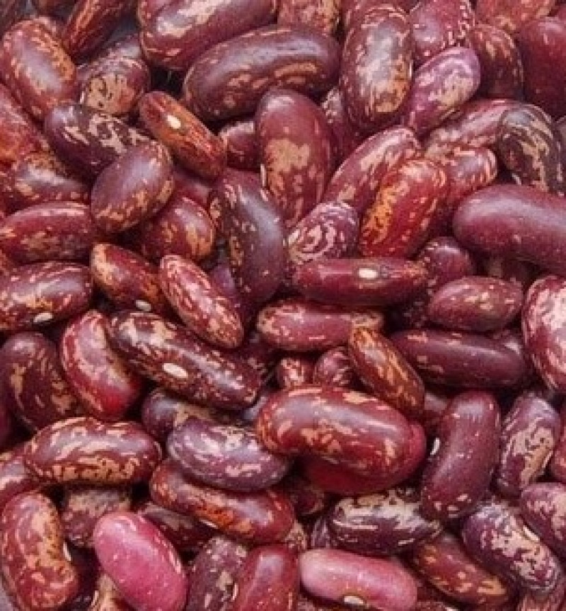 Pupiņas raibās 1kg Dobele 1/20 (23.04.27) Etiopija