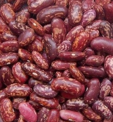 Pupiņas raibās 1kg Dobele 1/20 (23.04.27) Etiopija