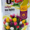 Svece Tulips aromātiska tējas 6gb Polija