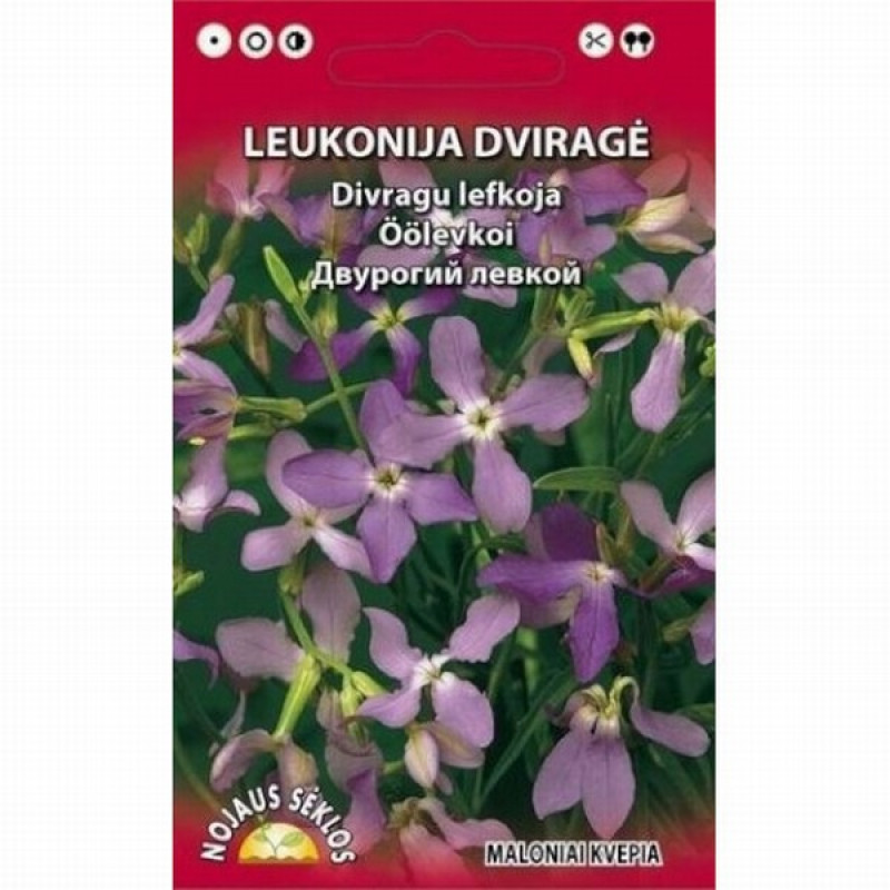 Sēklas Divragu lefkoja 0.2g (12.2027) 1/20 Lietuva