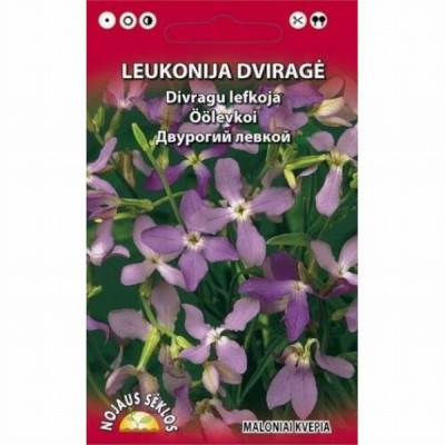 Sēklas Divragu lefkoja 0.2g (12.2027) 1/20 Lietuva