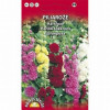 Sēklas Kāršroze 0.5g 1/20 (12.2026) Lietuva