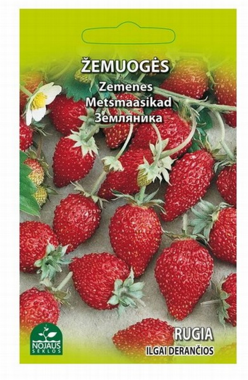 Sēklas Zemenes Rugia 0.1g