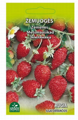 Sēklas Zemenes Rugia 0.1g