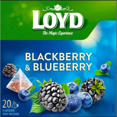 Tēja Loyd Pyramids augļu kazeņu-melleņu 20x2g (12.27) Ukraina